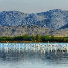 Hala'ib Triangle photo 1